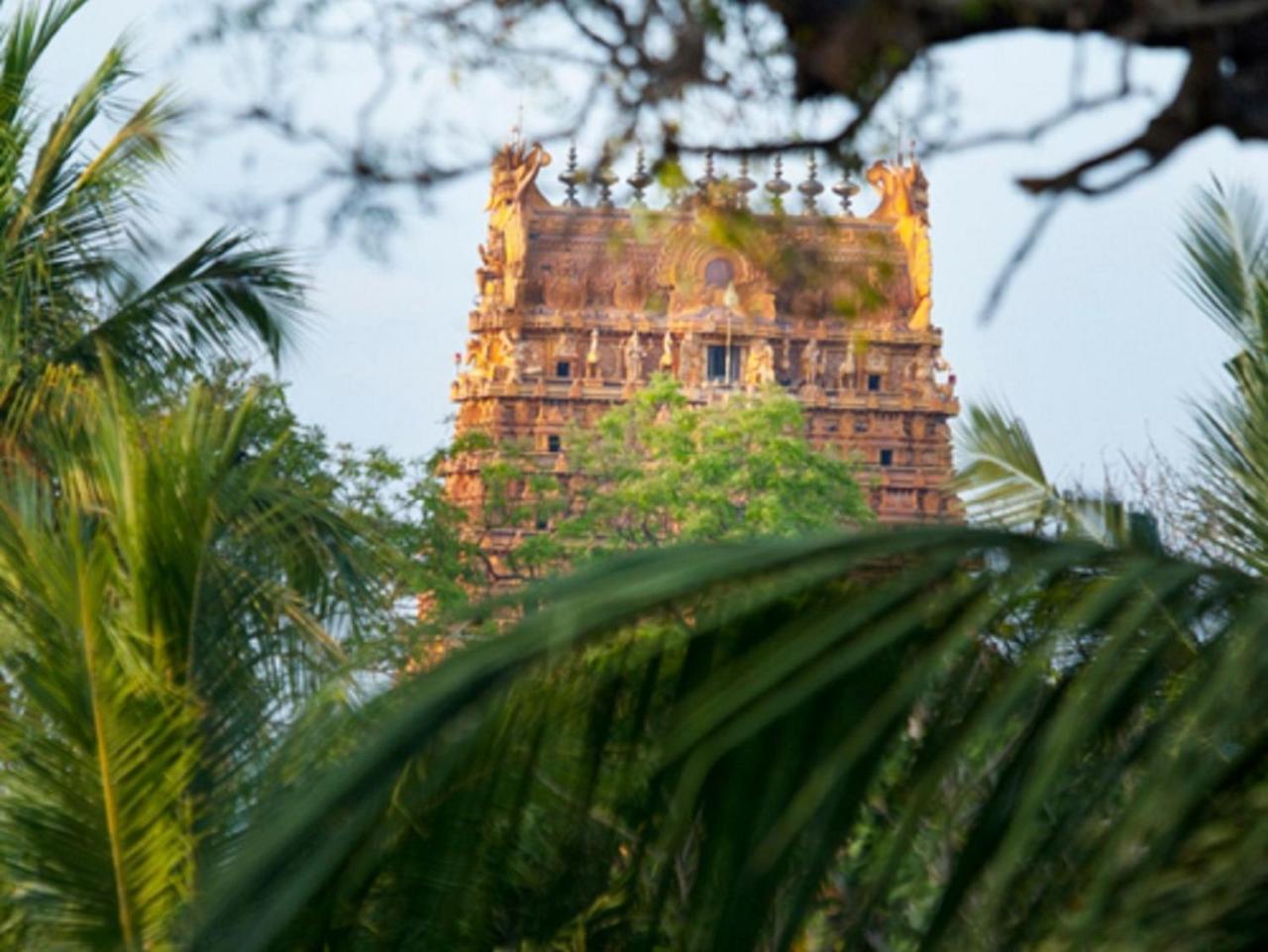 Jaffna Heritage Villa Экстерьер фото